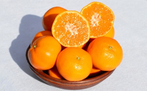 ［先行予約］和歌山県産 みかん 秀品 箱込約5kg（約4.1kg＋保証分500g）