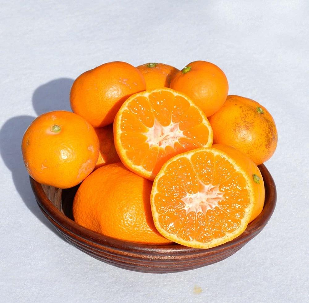 ［先行予約］訳ありみかん 約5kg（箱込み）　和歌山県産