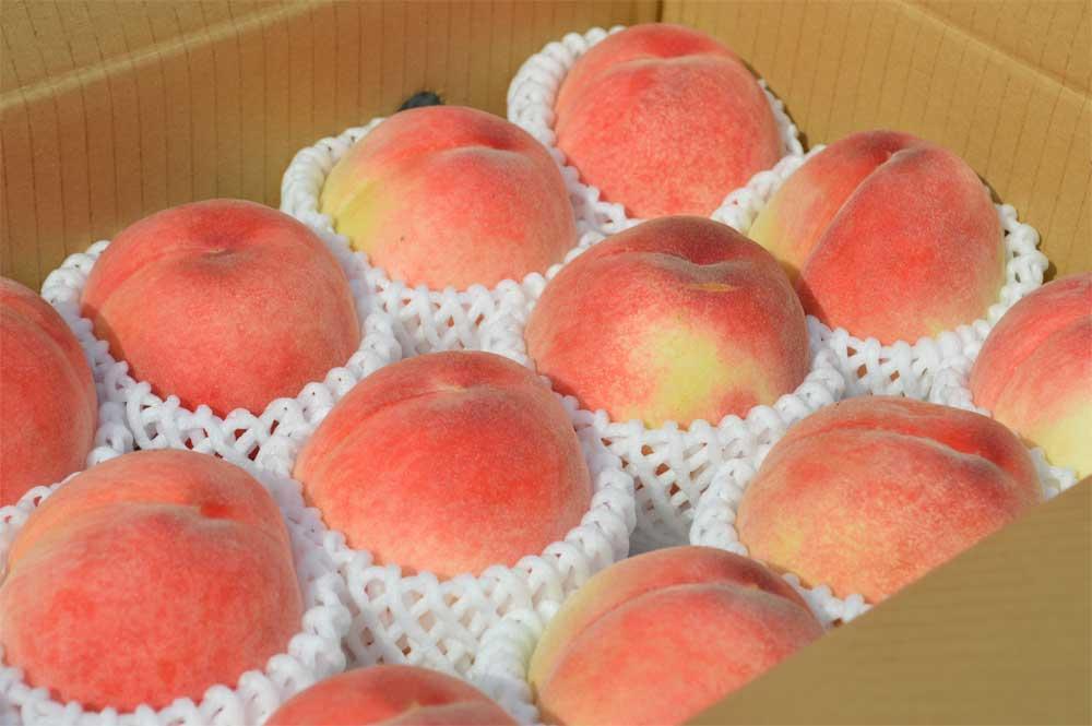 ［先行予約］訳あり桃 約4kg 12～18玉入り 和歌山県産日川、白鳳、清水白鳳、川中島等