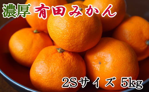 [秀品]和歌山有田みかん約5kg(2Sサイズ) ★2026年11月中旬頃より順次発送［TM83］