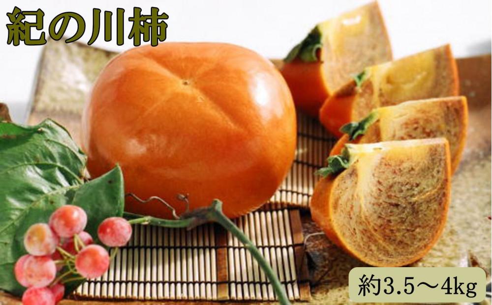 【希少】紀の川柿約3.5～4kg（種無し）秀選品★2026年11月頃より順次発送［TM12］