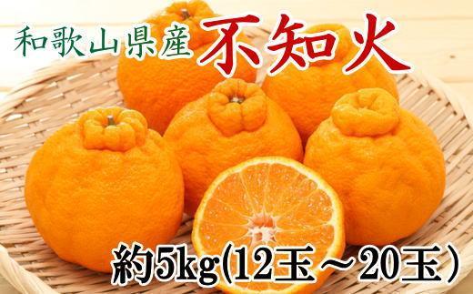 和歌山県産不知火約5kg（12玉～20玉おまかせ）2L～5Lサイズ★2026年2月下旬頃より順次発送［TM131］