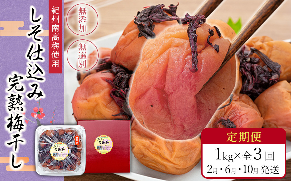 【定期便（2月・6月・10月）全3回お届け】 紀州南高梅使用 しそ仕込み完熟梅干し 無選別1kg ［TM214］