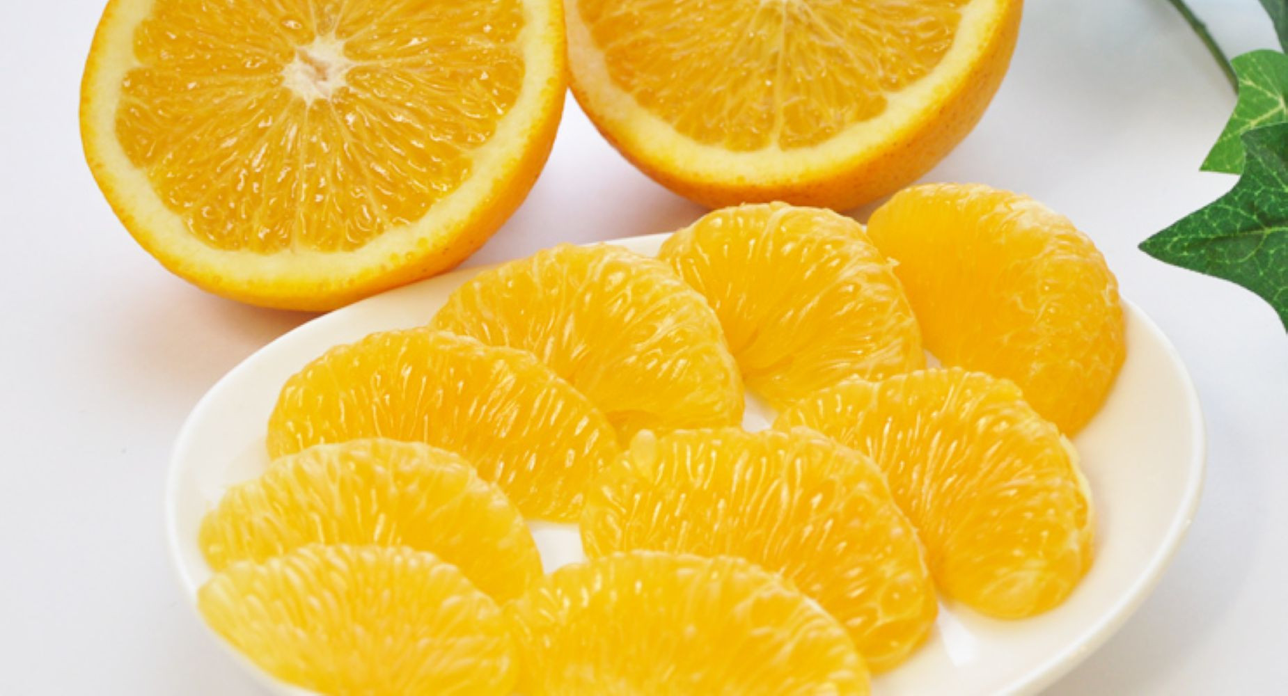 ご家庭用八朔（はっさく）約5kg（箱の重さ含む）【2026年1月20日～発送】