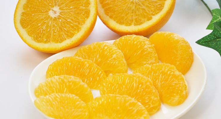 ご家庭用八朔（はっさく）約10kg（箱の重さ含む）【2026年1月20日～発送】