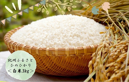 令和6年産 紀州ふるさと ひのひかり 白米3kg