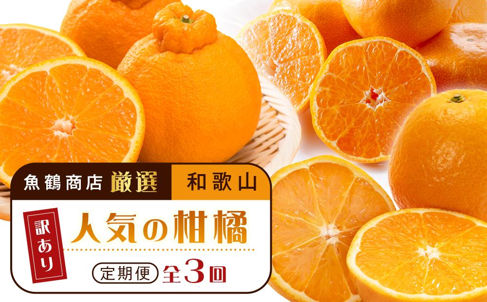 【魚鶴商店厳選】和歌山人気の柑橘ご家庭用・訳あり定期便（みかん・不知火・清見オレンジ）【定期便全3回】【UT117】