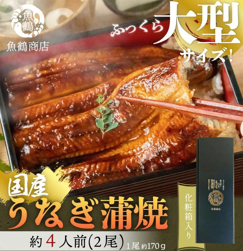 大型サイズ　ふっくら柔らか　国産うなぎ蒲焼き　2尾　化粧箱入［冬土用の丑の日のうなぎ］［～1月27日までにお届け］［UT05］