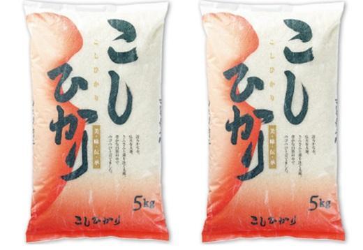 和歌山県産こしひかり10キロ（5キロ２袋）5回お届け