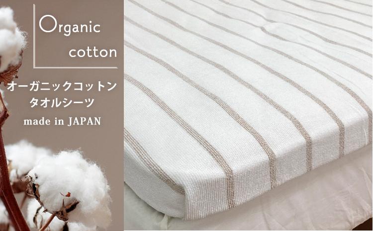 オーガニックコットン　タオルシーツ　シングルサイズ（145×230cm）ボーダー　ブラウン  SNS-13-BR