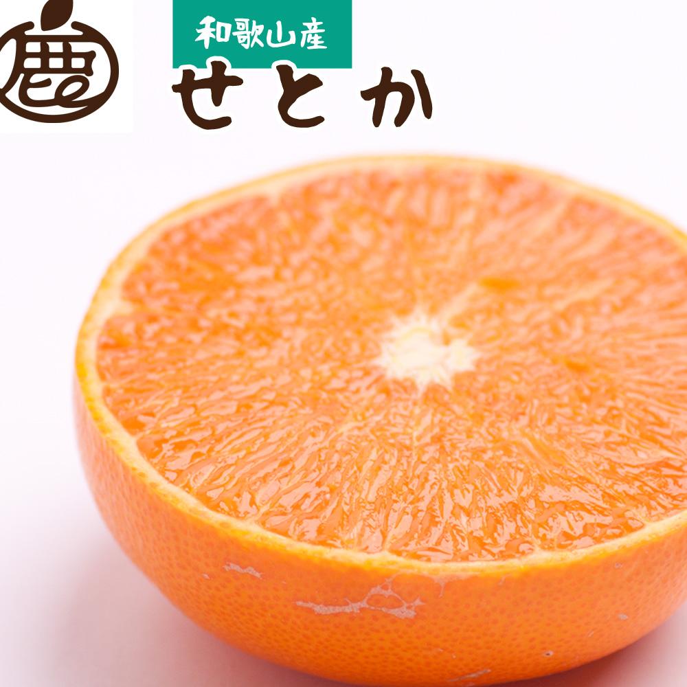 ［先行予約］家庭用 せとか2.5kg+250g（傷み補償分）［柑橘・春みかんの王様］［わけあり・訳あり］［光センサー選果・食べ頃出荷］［IKE62］