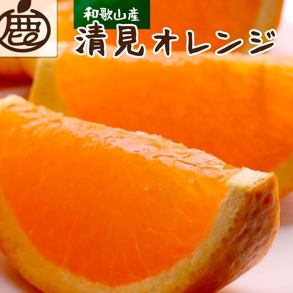 厳選 清見オレンジ10kg+250g（傷み補償分）［光センサー食頃出荷］［樹上完熟きよみオレンジ・清見タンゴール・清美］［IKE145］