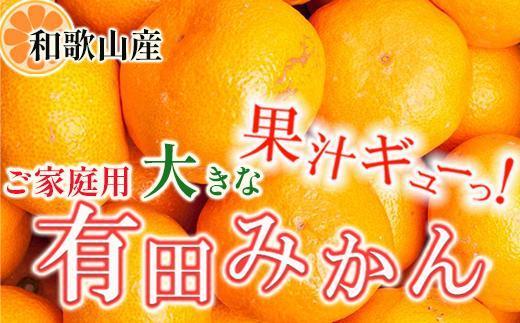 家庭用 大きな有田みかん5kg+250g（傷み補償分）［2025年11月中旬から2026年1月下旬頃順次発送予定］［IKE244］