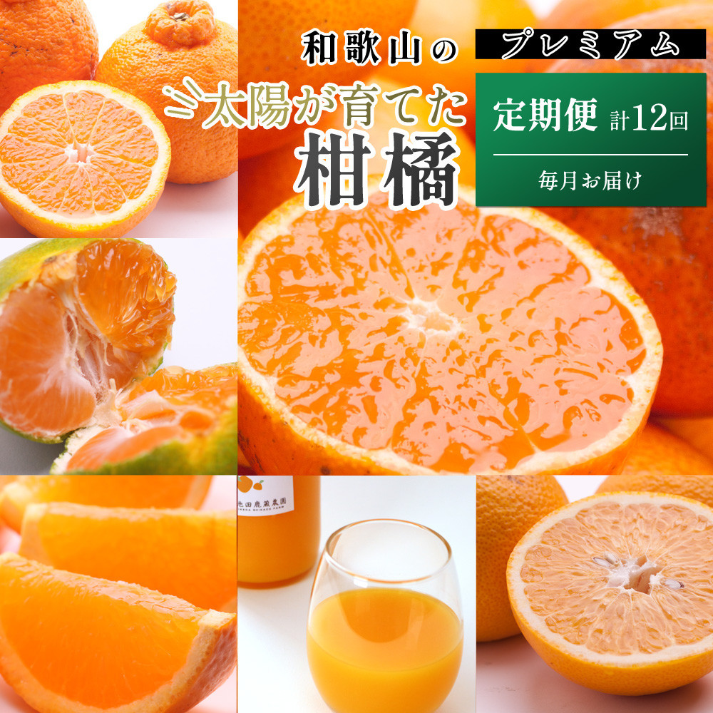 厳選 柑橘定期便M（毎月）全12回 ［IKE292］