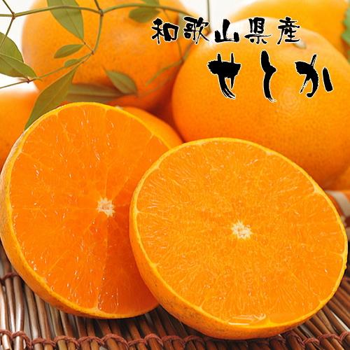 和歌山有田の濃厚せとか 約4～5kg ［先行予約］ | くだもの フルーツ 果実 果物 有田 みかん 和歌山　［MS80］
