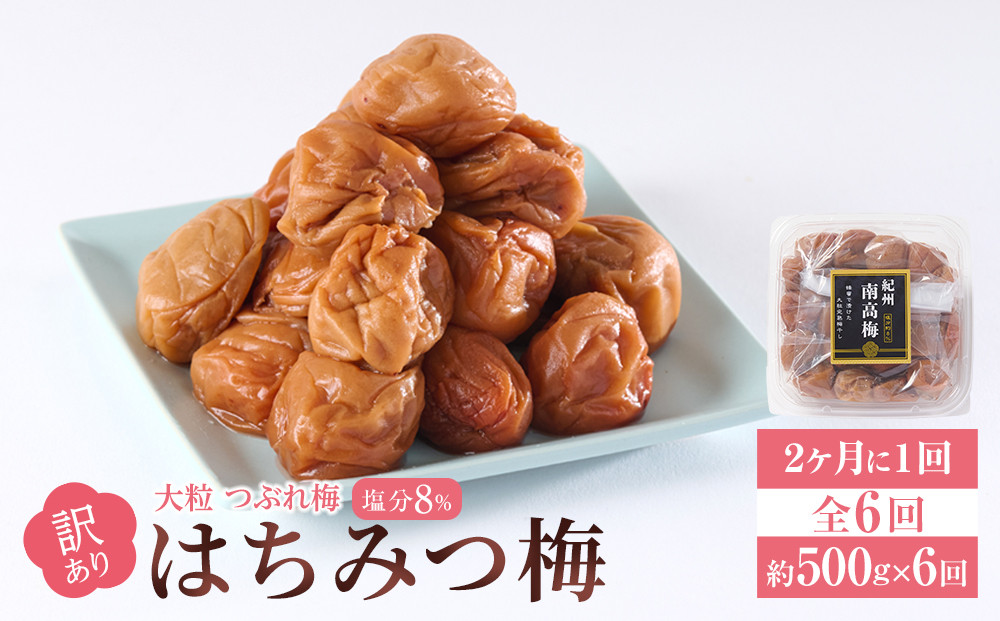 訳あり 梅干し 大粒 大玉 つぶれ梅 はちみつ梅 約500g × 6回 塩分8％ [ 定期便 2か月に１回発送・全6回 ]
