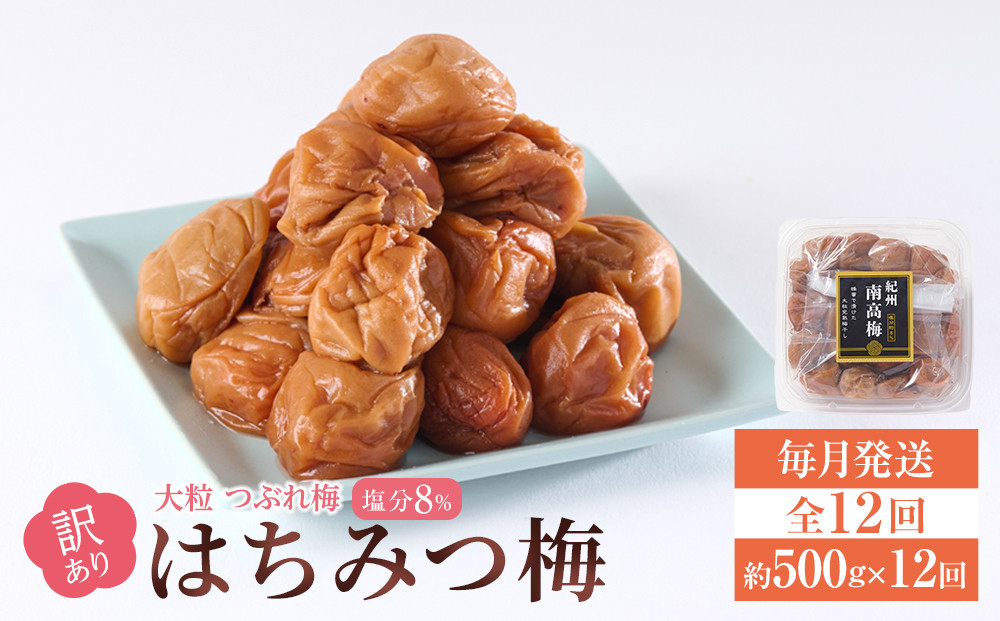 訳あり 梅干し 大粒 大玉 つぶれ梅 はちみつ梅 約500g × 12回 塩分8％ [ 定期便 毎月発送・全12回 ]