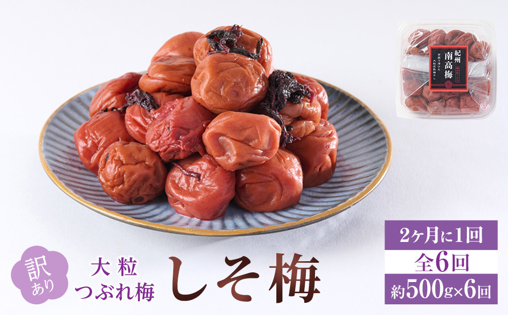 訳あり 梅干し 大粒 大玉 つぶれ梅 しそ梅 約500g × 6回 塩分10％ [ 定期便 2か月に１回発送・全6回 ]