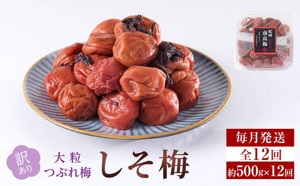 訳あり 梅干し 大粒 大玉 つぶれ梅 しそ梅 約500g × 12回 塩分10％ [ 定期便 毎月発送・全12回 ]