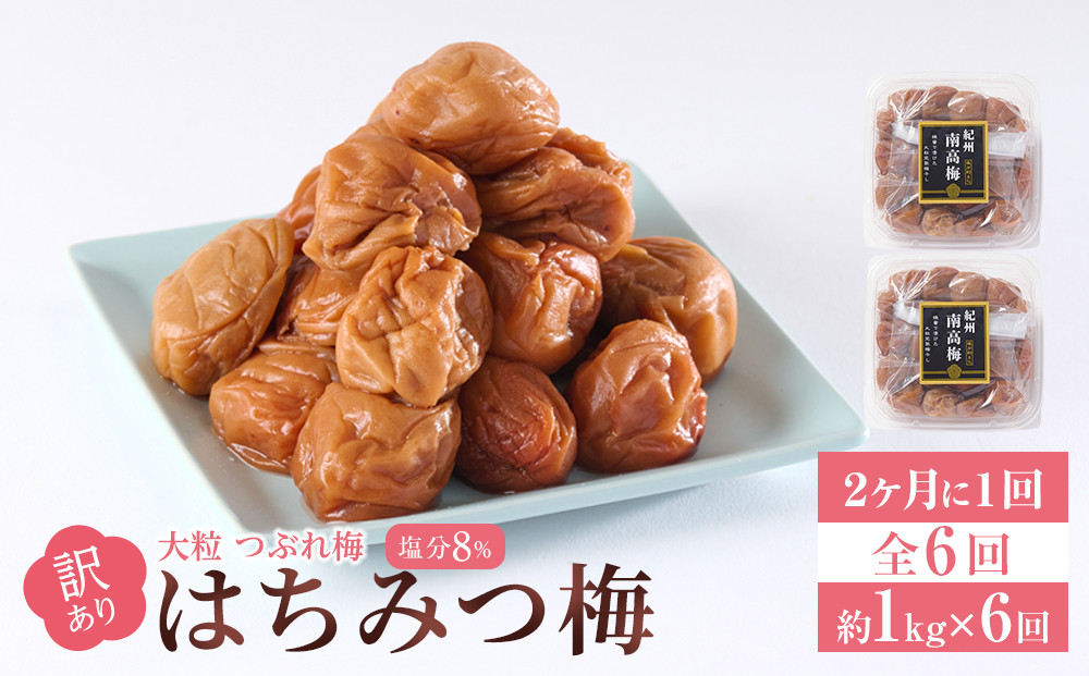 訳あり 梅干し 大粒 大玉 つぶれ梅 はちみつ梅 約1kg(500g×2) × 6回  塩分8％ [ 定期便 2か月に１回発送・全6回 ]