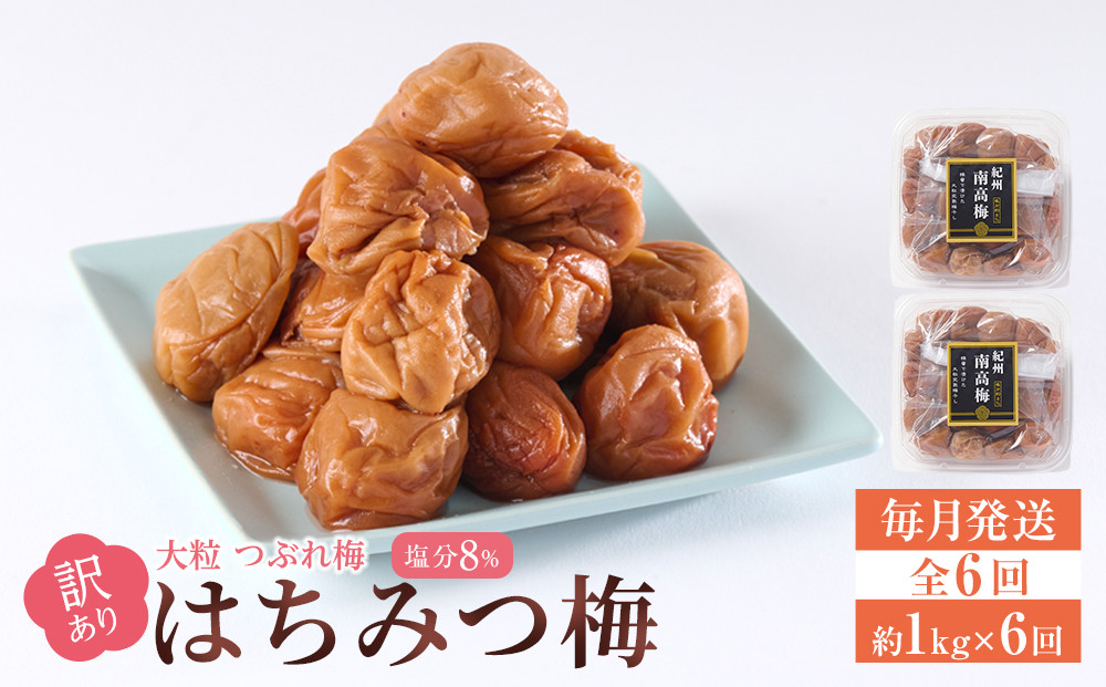 訳あり 梅干し 大粒 大玉 つぶれ梅 はちみつ梅 約1kg(500g×2) × 6回  塩分8％ [ 定期便 毎月発送・全6回 ]
