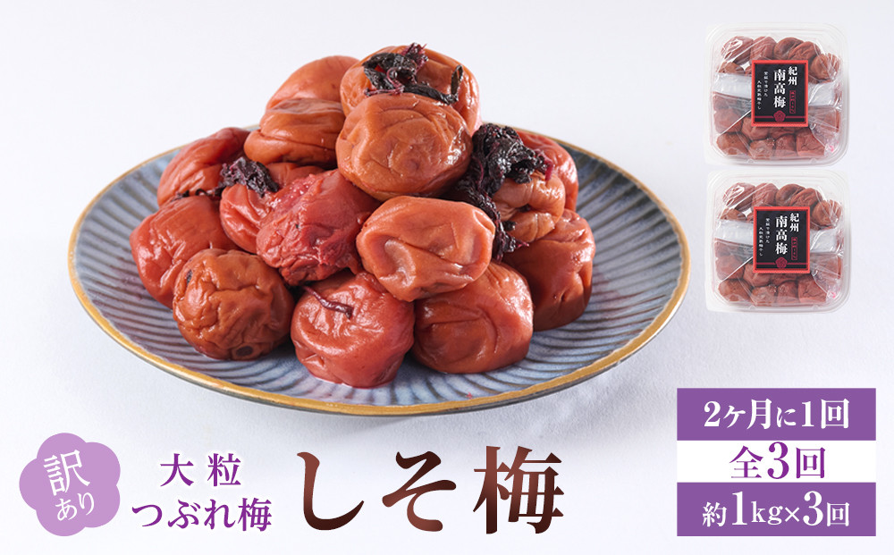 訳あり 梅干し 大粒 大玉 つぶれ梅 しそ梅 約1kg (500g×2)  × 3回 塩分10% [ 定期便 2か月に１回発送・全3回 ]