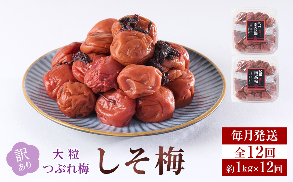 訳あり 梅干し 大粒 大玉 つぶれ梅 しそ梅 約1kg (500g×2)  × 12回 塩分10% [ 定期便 毎月発送・全12回 ]