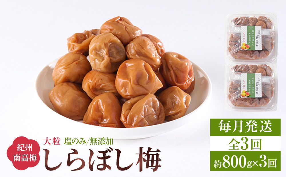 梅干し しらぼし梅  約800g（約400g×2） 塩のみ 無添加 大粒 紀州南高梅 塩分約15％ 和歌山県産 [ 定期便 毎月発送・全3回 ]