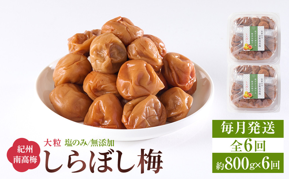 梅干し しらぼし梅  約800g（約400g×2） 塩のみ 無添加 大粒 紀州南高梅 塩分約15％ 和歌山県産 [ 定期便 毎月発送・全6回 ]