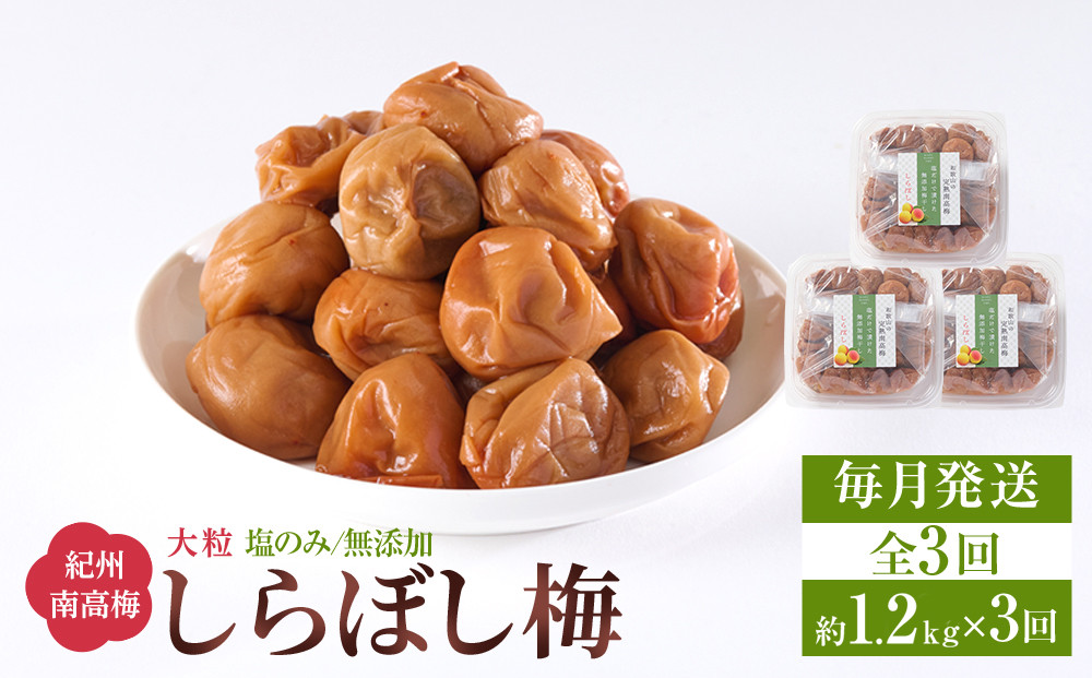 梅干し しらぼし梅 約1.2kg（約400g×3）塩のみ 無添加 大粒 紀州南高梅 塩分約15％ 和歌山県産 [ 定期便 毎月発送・全3回 ]