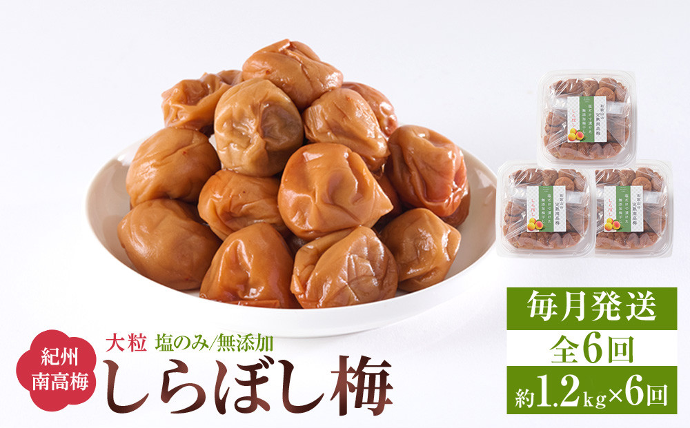梅干し しらぼし梅 約1.2kg（約400g×3）塩のみ 無添加 大粒 紀州南高梅 塩分約15％ 和歌山県産 [ 定期便 毎月発送・全6回 ]