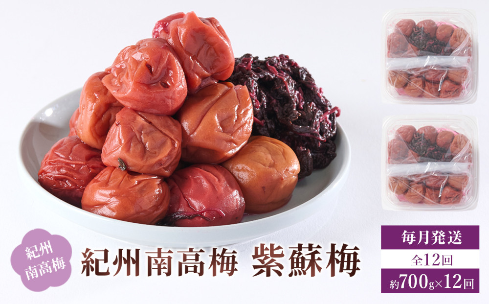 紀州南高梅 紫蘇梅 350g×2 塩分15％ [定期便 毎月発送・全12回]