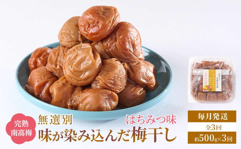 無選別 和歌山の完熟南高梅 味が染み込んだ梅干し はちみつ味 500g 塩分10％ [定期便 毎月発送・全3回]