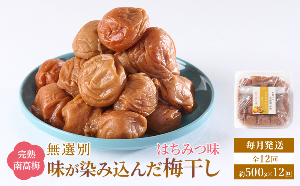 無選別 和歌山の完熟南高梅 味が染み込んだ梅干し はちみつ味 500g 塩分10％ [定期便 毎月発送・全12回]