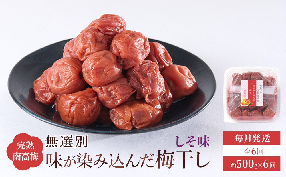 無選別 和歌山の完熟南高梅 味が染み込んだ梅干し しそ味 500g 塩分10％ [定期便 毎月発送・全6回]