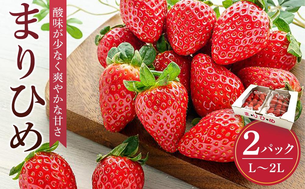 まりひめイチゴ L～２L 12粒～15粒×2パック［2026年1月中旬から発送］［先行販売］［KG7］