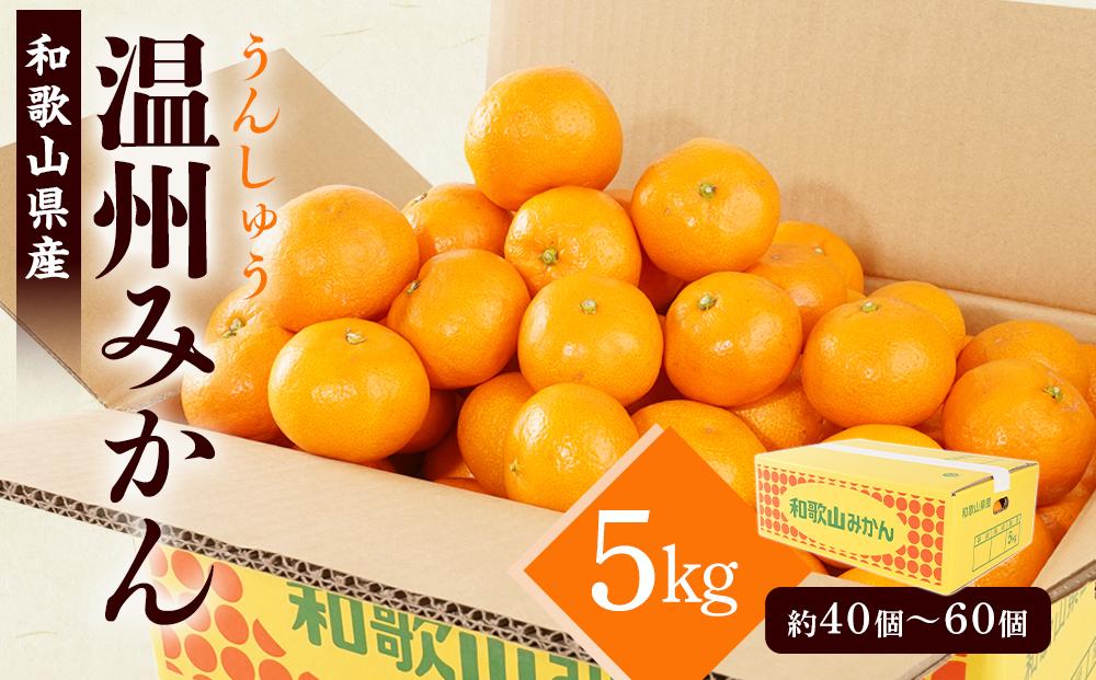 ［先行予約］［2026年11月初旬から11月末頃順次発送］ 和歌山県産温州みかん 約5kg（40個～60個）秀品 こだわり農家厳選！［KG31］