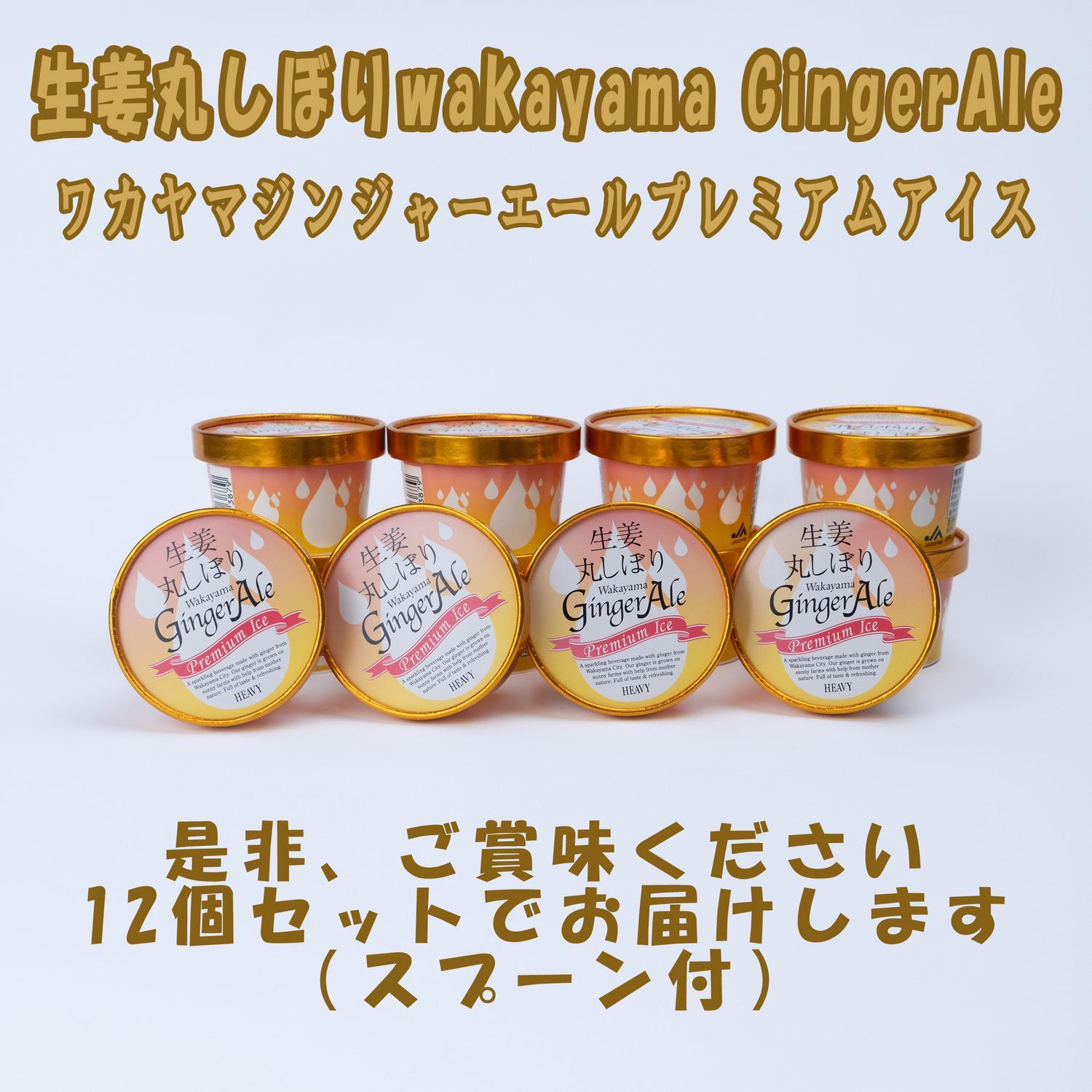 ワカヤマジンジャーエールプレミアム アイス12個