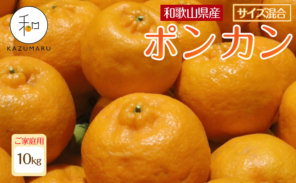 家庭用 森本農園の手選別 ポンカン 10kg 和歌山県産 サイズ混合 ［北海道・沖縄・離島配送不可］［RN33］［2026年1月上旬から順次発送］