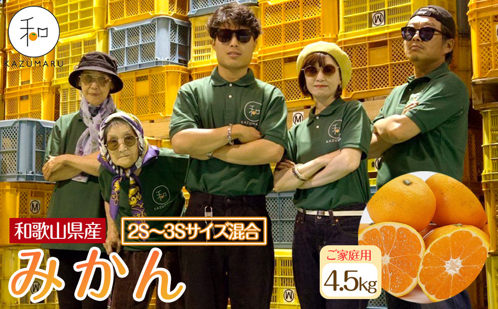 家庭用 森本農園の手選別 小粒みかん 約4.5kg 和歌山県産 2S・3Sサイズ混合 ［北海道・沖縄・離島配送不可］［2025年11月上旬から順次発送］［RN60］