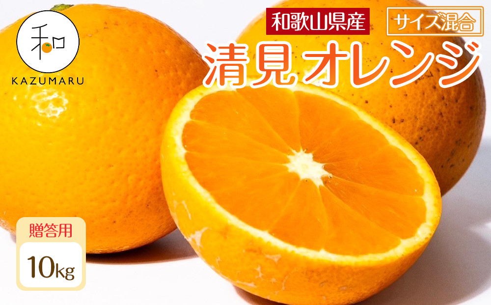 贈答用 森本農園の手選別 厳選清見オレンジ 約10kg 和歌山県産 サイズ混合 ［北海道・沖縄・離島配送不可］［2026年2月上旬から5月中旬頃順次発送予定］［RN90］
