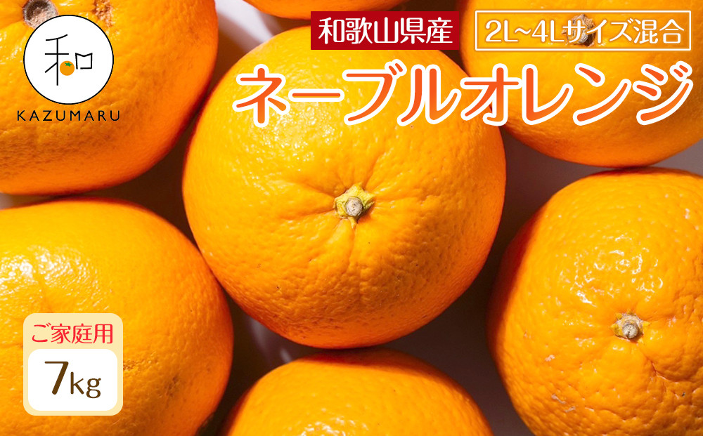 家庭用 森本農園の手選別 大玉ネーブルオレンジ 約7kg 和歌山県産 2L~4Lサイズ混合 ［北海道・沖縄・離島配送不可］［2026年1月上旬から順次発送］［RN106］★