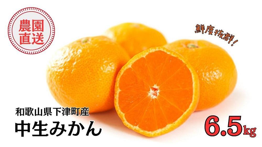 中生みかん 約6.5kg 大小混合 《ご家庭用》ちょっと訳あり和歌山県下津町より農園直送！12月中旬頃発送開始 まごころ産直みかん 【北海道・沖縄県・一部離島 配送不可】混合サイズ わけあり 訳アリ【mg11】
