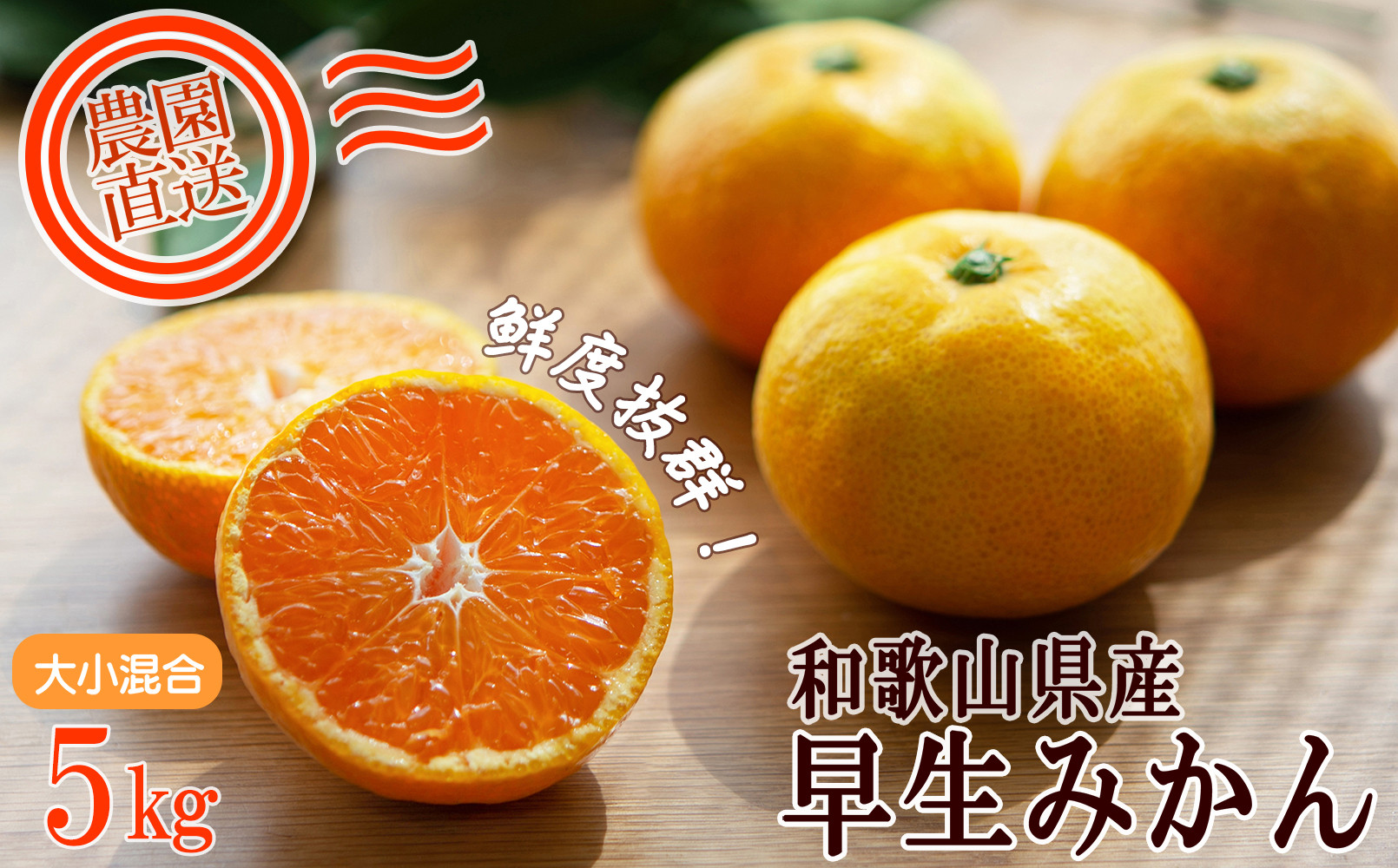 みかん 訳あり 早生みかん 5kg 大小混合 まごころ産直みかん 【11月より順次配送】温州みかん 和歌山みかん 下津みかん しもつみかん ミカン 蜜柑 和歌山ミカン 和歌山蜜柑 mikan 訳アリ 訳あり 訳あり品 和歌山県産 産地直送