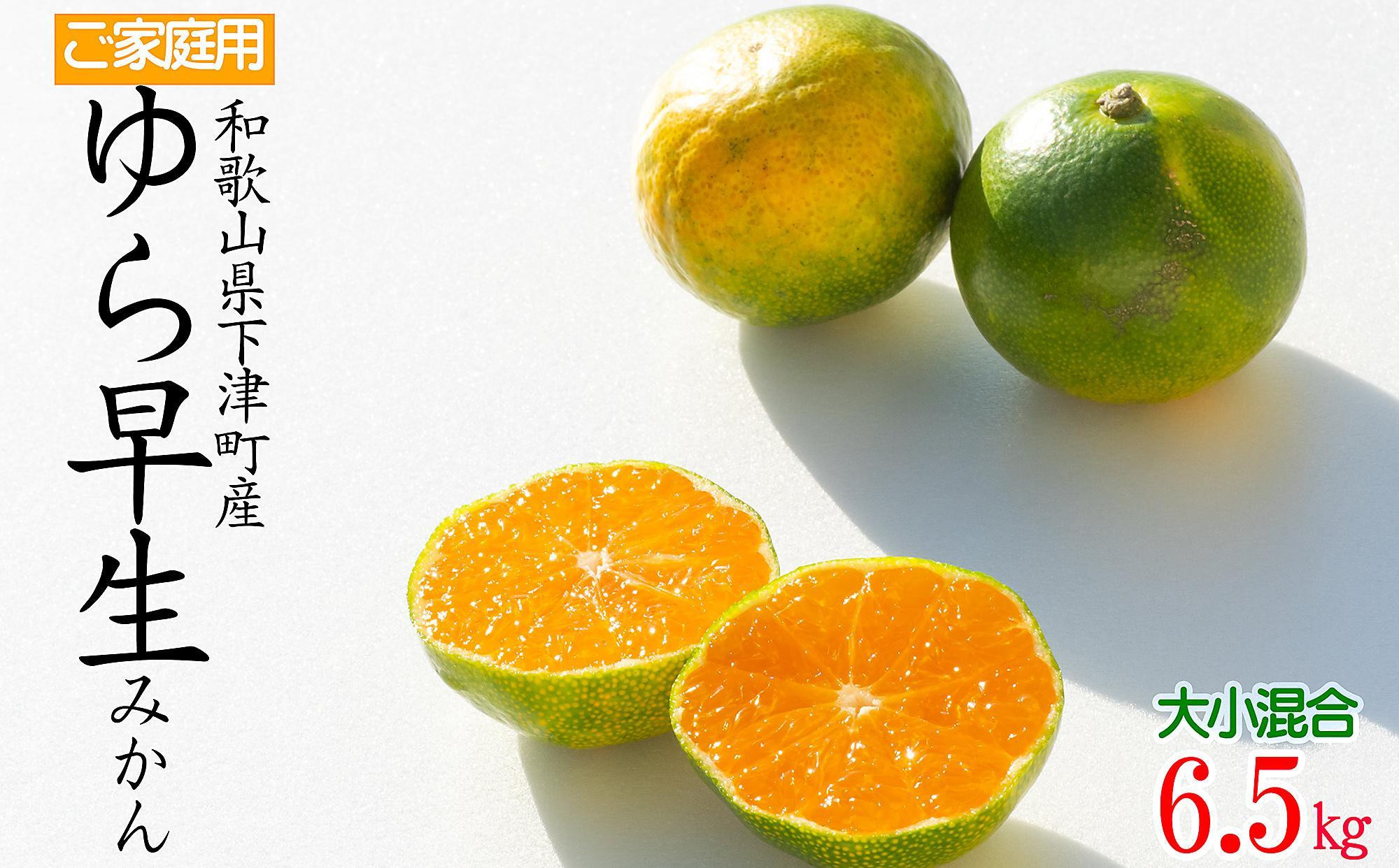 【極早生みかん】ゆら早生みかん 約6.5kg 大小混合サイズ 訳あり 和歌山県下津町産 産地直送 【北海道・沖縄県・一部離島 配送不可】 ［Mg25］