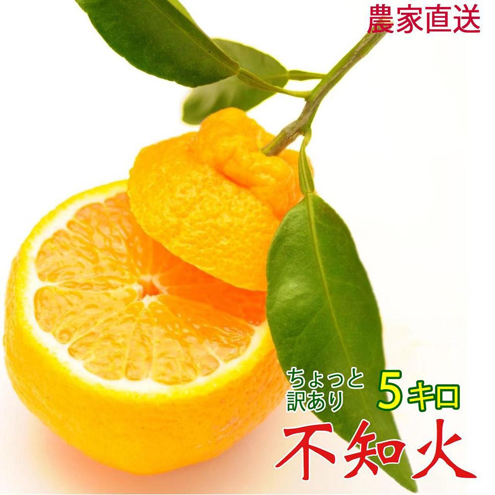 不知火 約5kg 24～28玉 《ご家庭用》 ちょっと訳あり 和歌山県産 農園直送 まごころ産直みかん 【北海道・沖縄県・一部離島 配送不可】訳アリ わけあり みかん しらぬい デコポンと同じ品種 でこぽん ［Mg57］