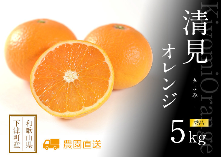 清見オレンジ 約5kg M・L・2Lサイズおまかせ 《赤秀》 和歌山県産 農園直送 まごころ産直みかん 【北海道・沖縄県・一部離島 配送不可】Mサイズ Lサイズ LLサイズ みかん きよみ 清見タンゴール 清美 柑橘 贈答 ［Mg62］