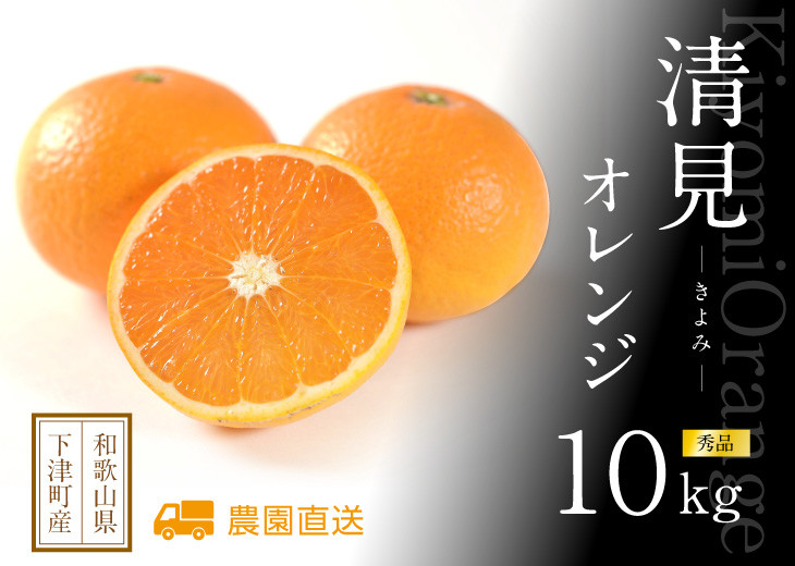清見オレンジ 約10kg M・L・2L・3Lサイズおまかせ 《赤秀》 和歌山県産 農園直送 まごころ産直みかん 【北海道・沖縄県・一部離島 配送不可】みかん きよみ 清見タンゴール 清美 柑橘 贈答 ［Mg64］