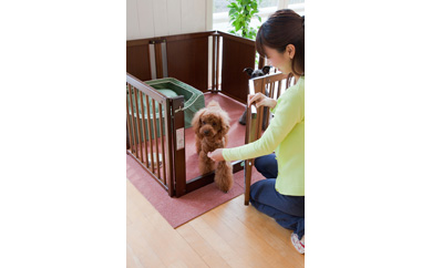 ペット用木製サークル『ペットサークル F 60 XL（ブラウン色）』【KR5】