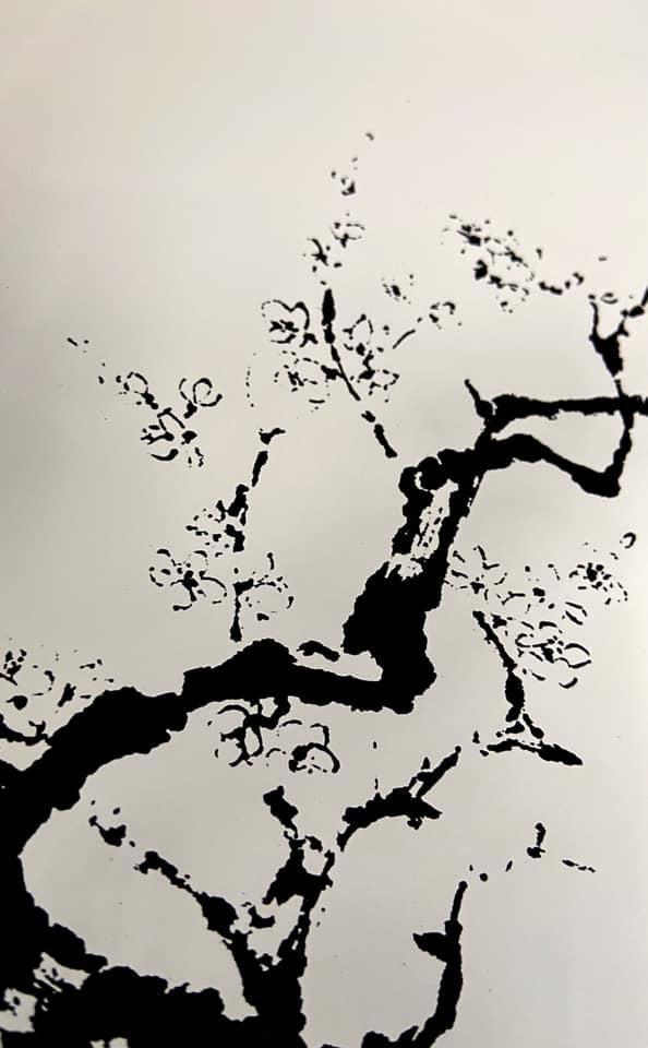 【全4回】 フラットプレートM 定期便 【 3月発送：墨桜純白 6月発送：花火マジョブルー 9月発送:紅葉漆黒 12月発送：マジョ銀箔ブルー 】【NF1】